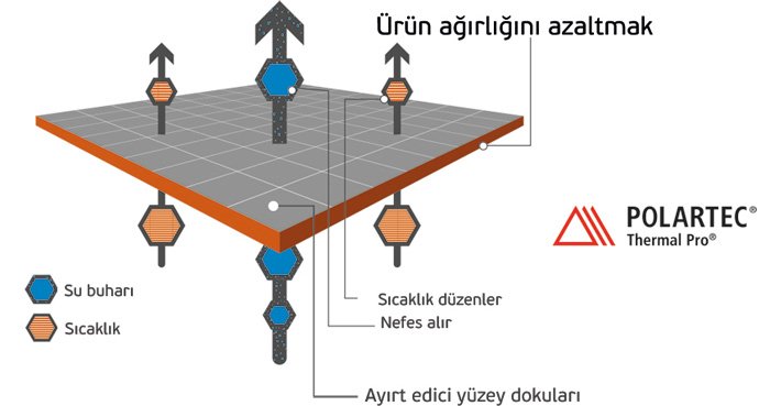 Boyunluk Boyunluk