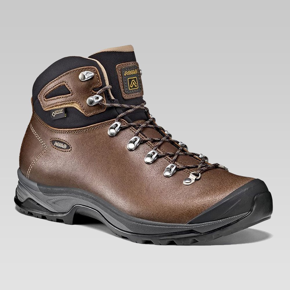 Asolo thyrus sale