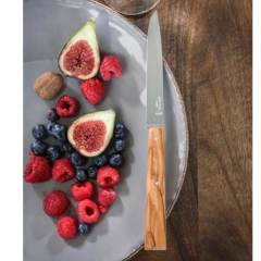 Opinel Bon Appetit South 4'lü Naturel Zeytin Sap Sofra Bıçağı N°125