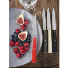 Opinel Bon Appetit Loft 4 Parça Ahşap Saplı Sofra Bıçağı N°125