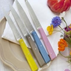 Opinel Bon Appetit Ahşap Saplı Sofra Bıçağı (Mavi)