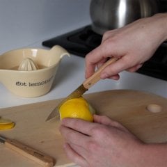 Opinel Essential Küçük Mutfak Bıçağı Seti Renkli
