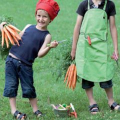 Opinel Inox No 7 Paslanmaz Çelik Çakı (Yeşil)