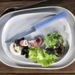 Opinel Bon Appetit Paslanmaz Çelik Sofra Bıçağı Mavi