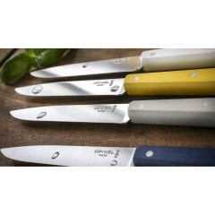 Opinel Bon Appetit Celeste 4 Parça Paslanmaz Sofra Bıçağı
