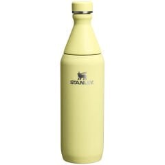 Stanley The All Day Slim Soğuk Su Şişesi 0,60 LT