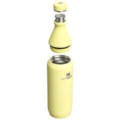 Stanley The All Day Slim Soğuk Su Şişesi 0,60 LT