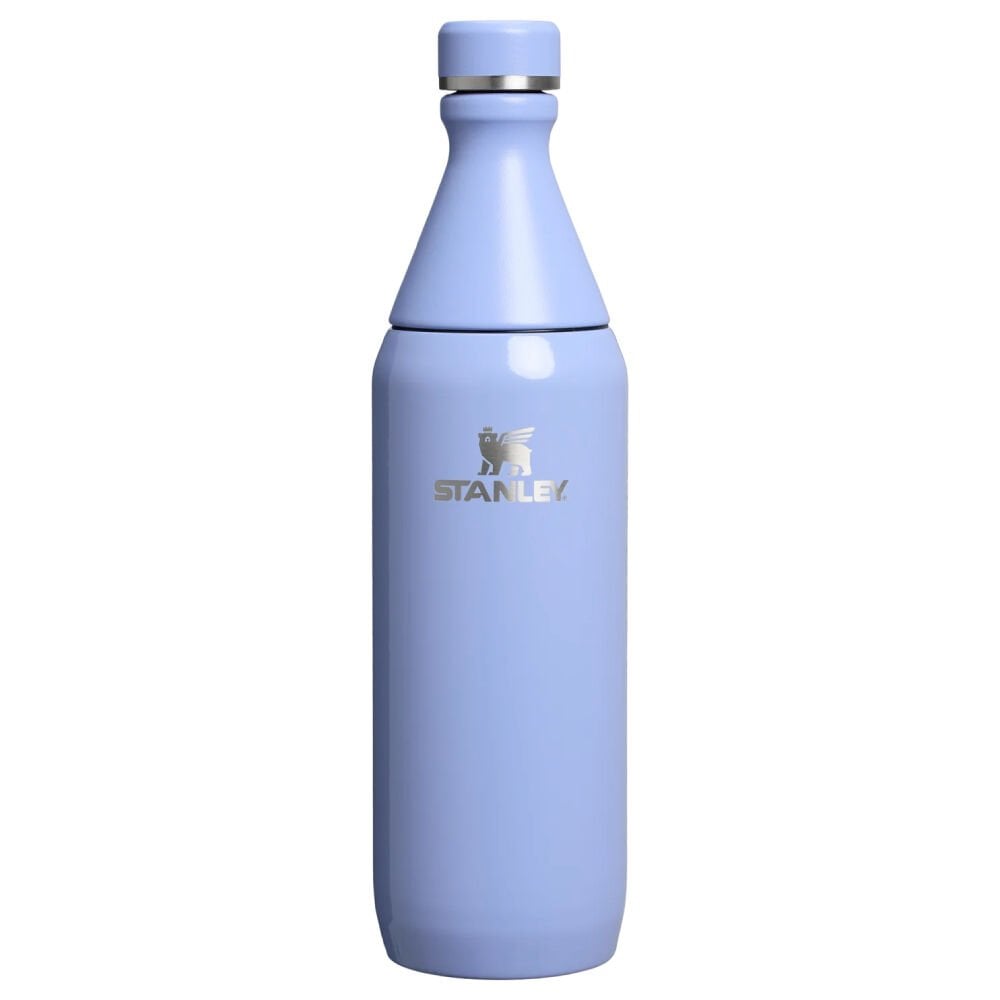 Stanley The All Day Slim Soğuk Su Şişesi 0,60 LT