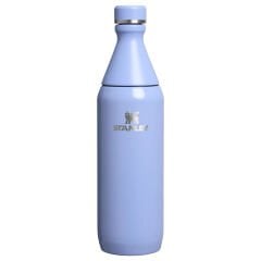Stanley The All Day Slim Soğuk Su Şişesi 0,60 LT