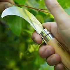 Opinel No 10 Inox Kayın Saplı Paslanmaz Çelik Bağ Çakısı