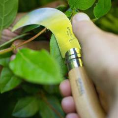 Opinel No 10 Inox Kayın Saplı Paslanmaz Çelik Bağ Çakısı