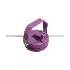 Stanley The IceFlow Flip Straw Pipetli Termos Bardak 0,89 LT