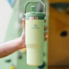 Stanley The IceFlow Flip Straw Pipetli Termos Bardak 0,89 LT
